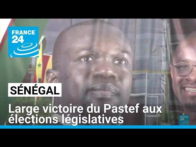 Sénégal : large victoire du Pastef aux élections législatives • FRANCE 24