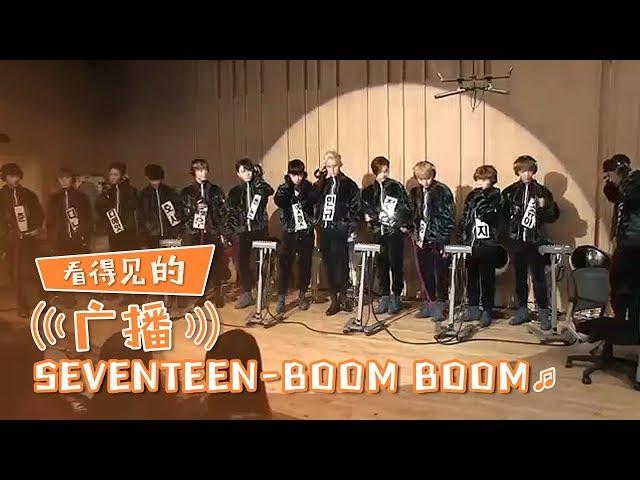 [Chinese SUB] Do you think you can Handle Them? SEVENTEEN 'BOOM BOOM' | Visual Radio