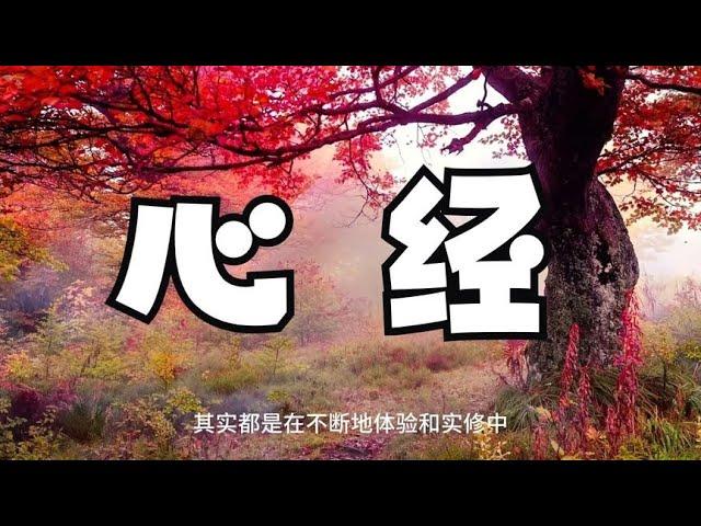 心经中的终极秘密！#心灵感悟 #开悟人生 #智慧人生