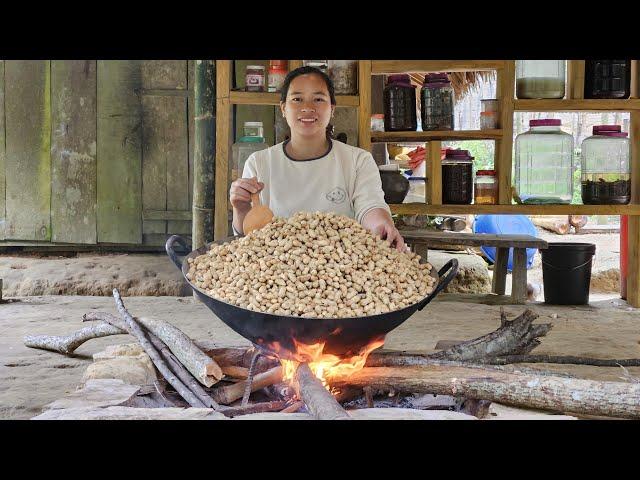 Harvesting & Processing Peanuts Goes to market sell - Pregnant woman's life on the farm | Lý Thị ca