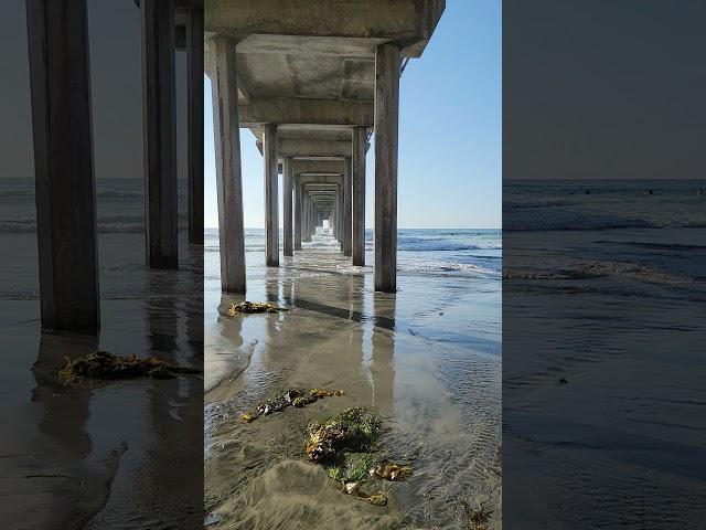 Capturing Ellen Browning Scripps Memorial Pier 09.30.2021 By EM ME