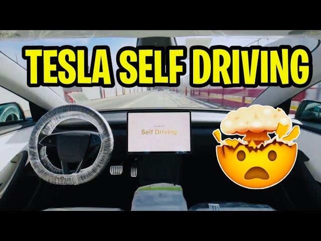 TESLA SELF DRIVING to their designated parking