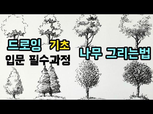 [펜드로잉]나무 잘그리는법/기초선연습