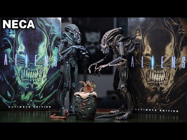 NECA ALIEN WARRIOR BROWN AND BLUE VERSION REVIEW ( ALIENS ) ULTIMATE FIGURE