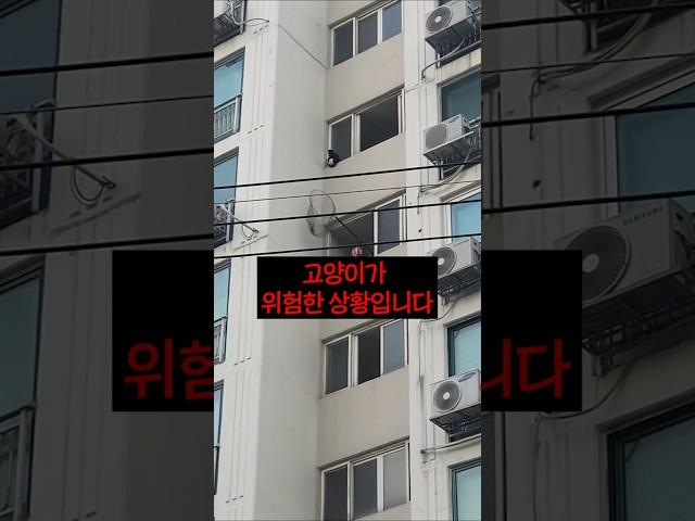 정말 위험했던 상황ㄷㄷ