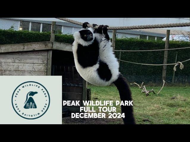 Peak Wildlife Park | Full Tour | December 2024