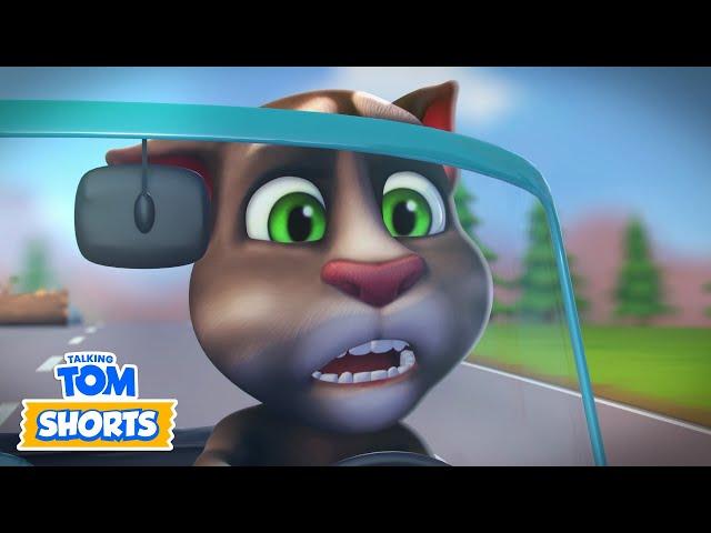 Talking Tom has a Cool Ride  Talking Tom Shorts Compilation