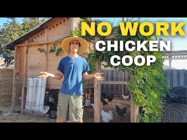 How to Design a Chicken Coop: Automatic Food, Water, Easy to Clean