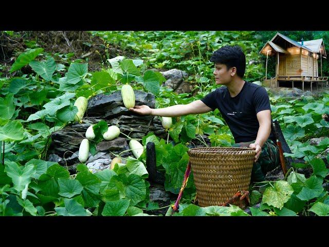 Cucumber Harvest: Sustainable Recipes for a Bountiful Garden Full of Flavor