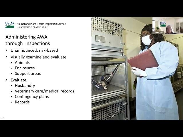 USDA Bat Inspections