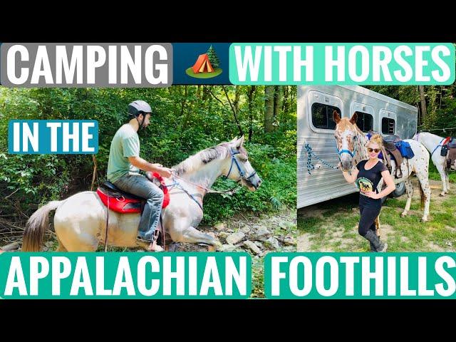 TRAIL RIDING OUR HORSES IN THE APPALACHIAN FOOTHILLS|Trail Riding & Camping