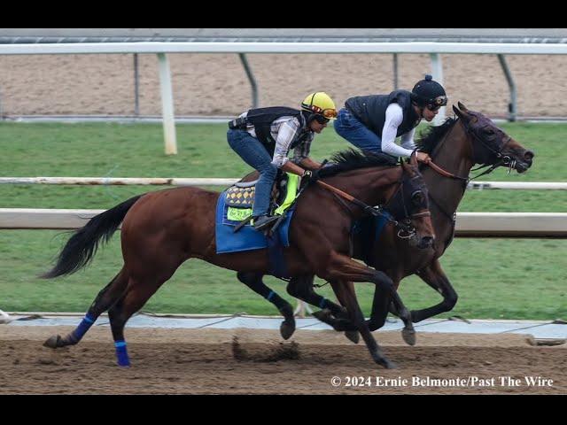 Early Breeders' Cup Look "Contenders and Pretenders"