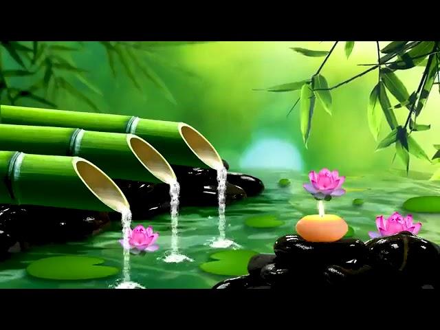 Relaxing music  Sleep Music  Stress relief Music, Spa, Meditation, Yoga, sleeping music 