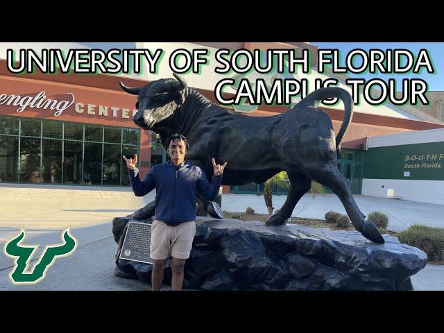 University Of South Florida Campus Tour | Tampa