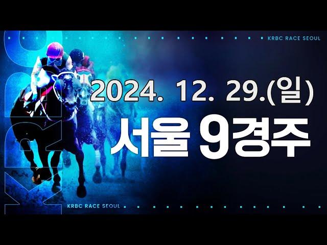 (서울) 2024.12.29 9경주