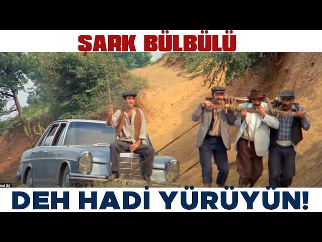 Şark Bülbülü Türk Filmi | Şaban, Zülfo Ağayı Çifte Sürüyor!