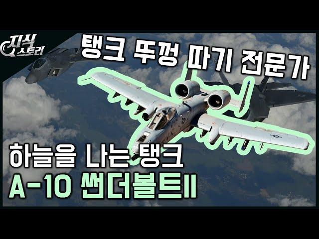 하늘을 나는 탱크 "A-10 썬더볼트II" / 탱크 뚜껑 따기 전문가 [지식스토리]