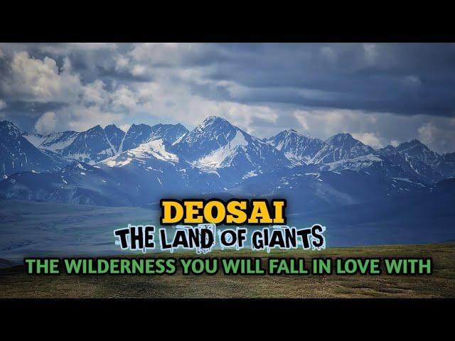 DEOSAI "THE LAND OF GIANTS", The WILDERNESS YOU WILL FALL IN LOVE WITH| PAKISTAN MOST AMAZING PLACES