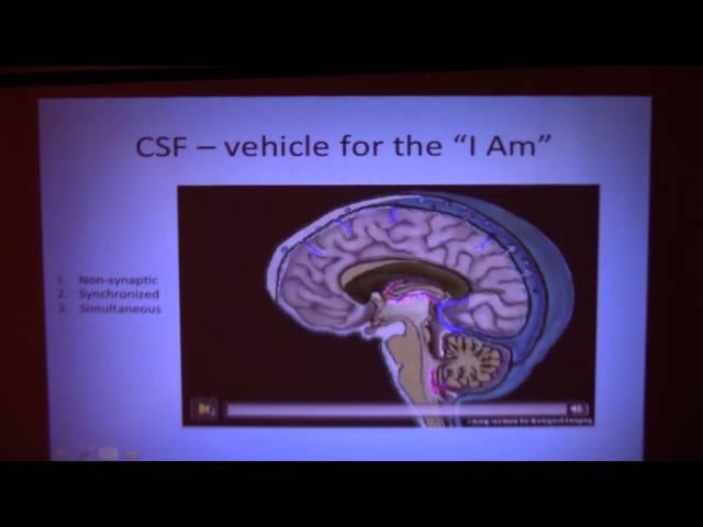 The Cerebrospinal Fluid and the Appearance of “I Am”,  Mauro Zappaterra