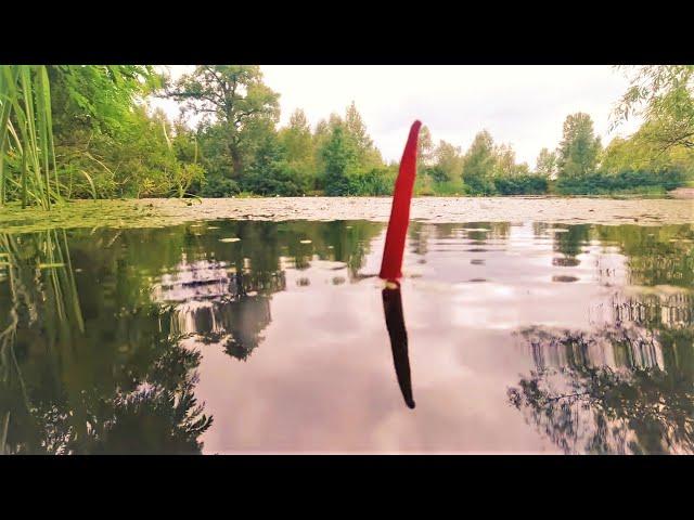СЕКРЕТЫ ловли в БЕСКЛЁВЬЕ. Рыбалка на поплавок.