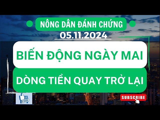 Chứng khoán hôm nay / Nhận định thị trường : Biến động ngày mai - Dòng tiền quay trở lại