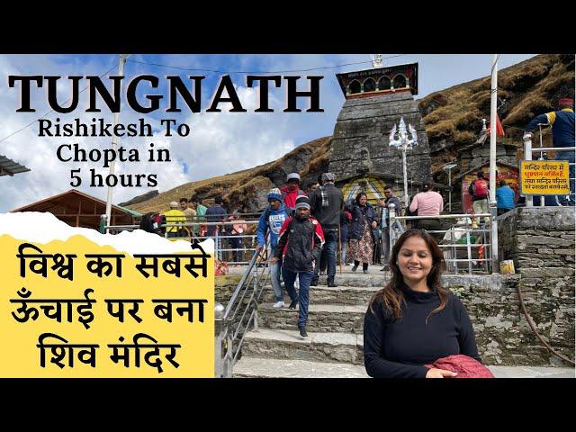 Chopta Tungnath Trek - Chopta Tour || Rishikesh to Chopta Tungnath Temple || Highest Shiva Temple