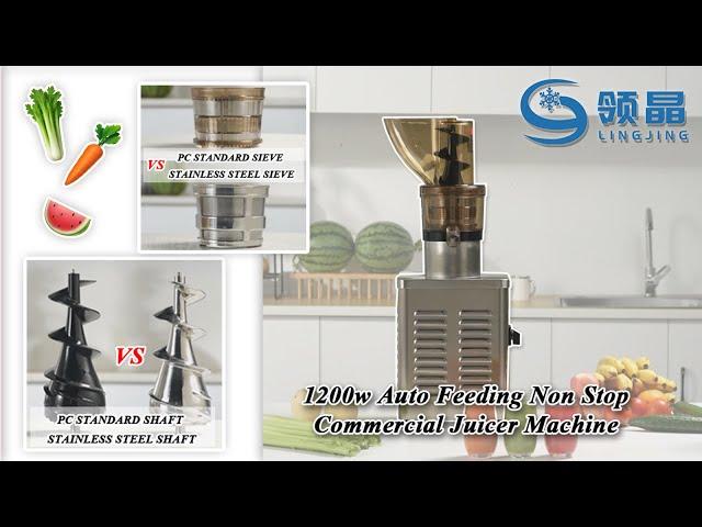 New 2024 Commercial Cold Press Juicer | 24 hours working for Juicing Celery, Carrot, Orange, Apple