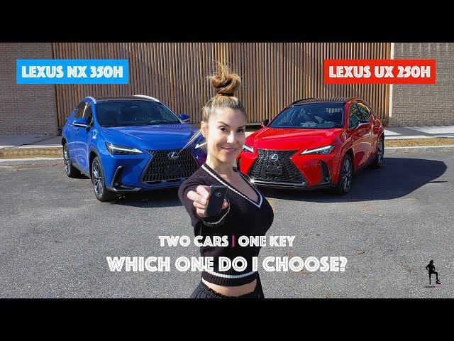 Which One to Buy? 2024 Lexus NX 350h vs Lexus UX 250h Comparison