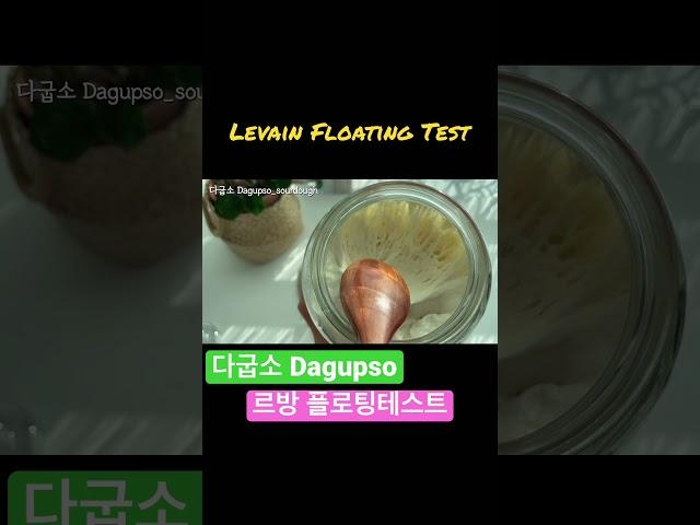 플로팅테스트  #shorts #다굽소 #건강빵 #비건빵 #빵만들기 #천연발효빵 #사워도우빵 #sourdoughbread #sourdough #levain #르방 #banhmi