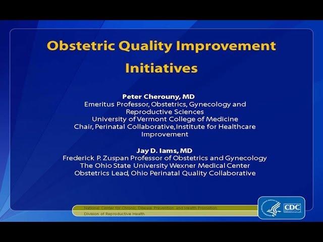 Obstetric Quality Improvement Initiatives