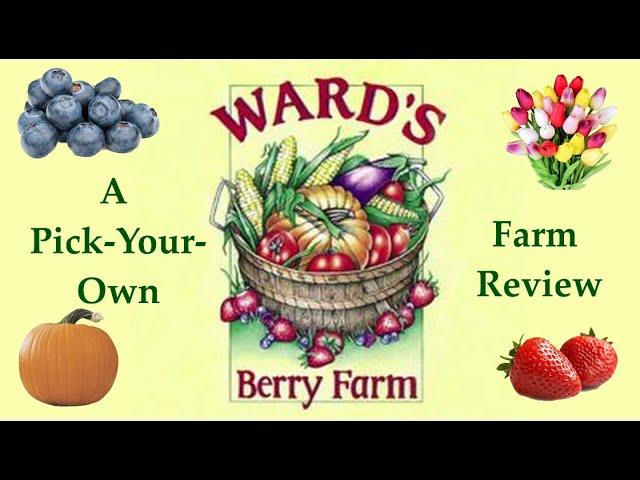 Wards Berry Farm Review.