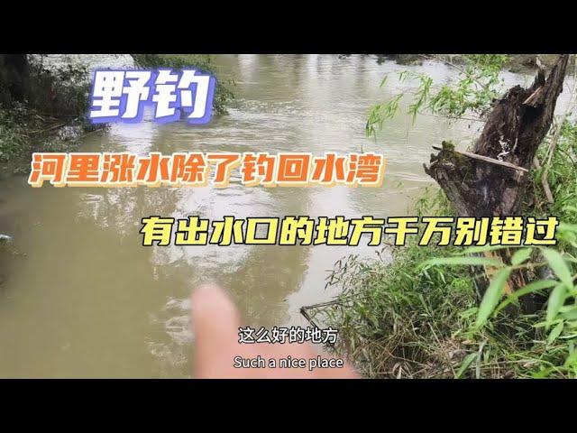 野钓：河里涨水除了钓回水湾，有出水口的地方也千万别错过