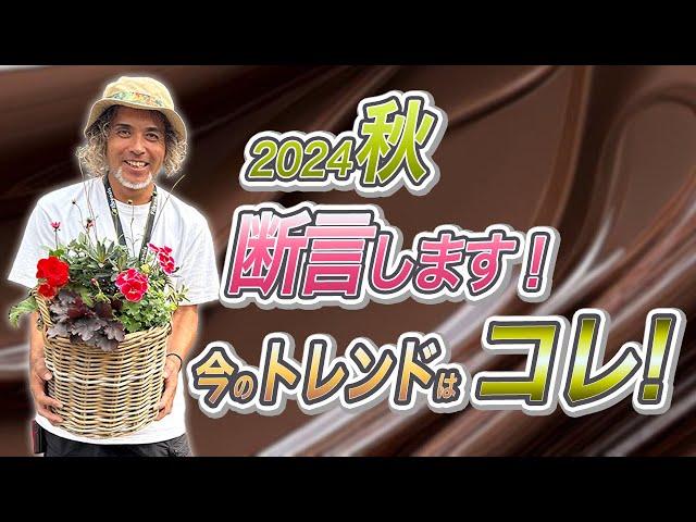 秋のパンジー・ビオラ前に植えてほしい！秋のトレンド⭐推しのお花でショコラカラー寄せ植え