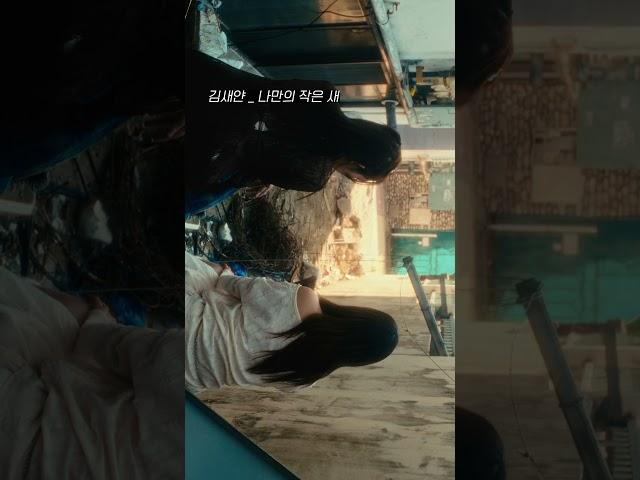 김새얀 - 나만의 작은 새 #kindie #kpop #mv #playlist
