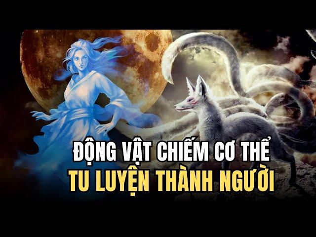 Tại Sao Động Vật Lại Phải Mượn Cơ Thể Người Để Tu Luyện - ĐTT