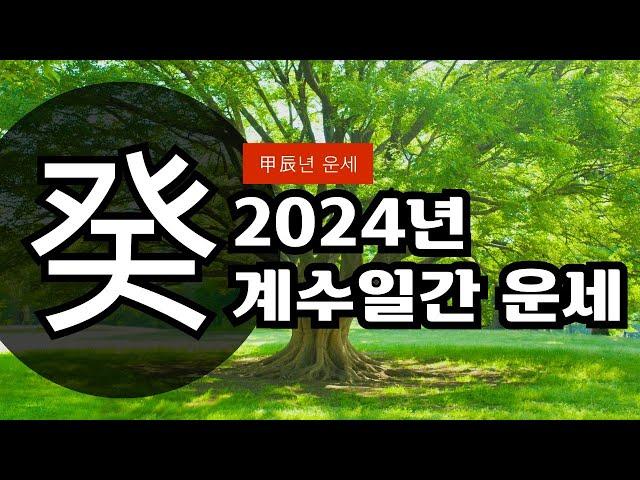 갑진년 2024년 계수일간 운세