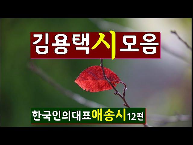 [시낭송모음] 김용택시모음#명시모음ㅣ애송시ㅣ힐링시 (낭송:봉경미/음악:손방원팬플룻 외)