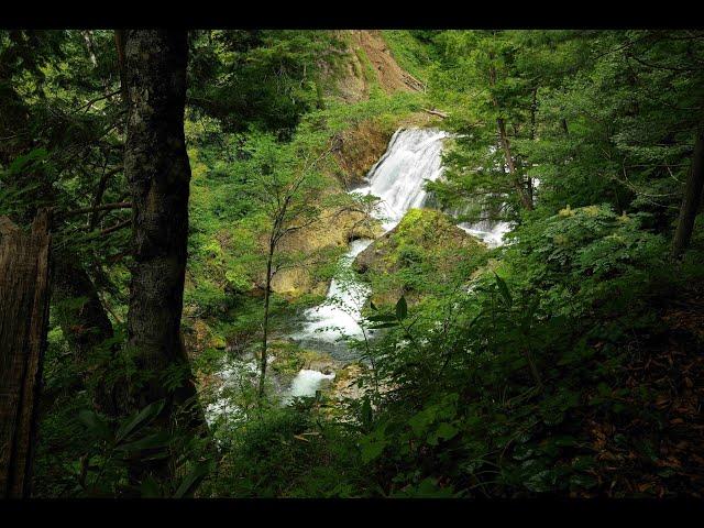 三段の滝～雑魚川～