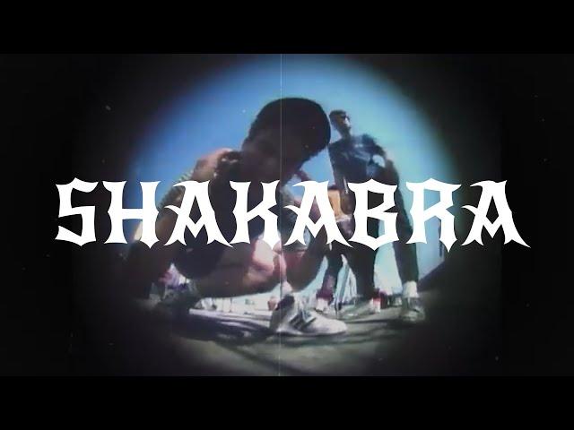 [FREE] Beastie Boys x Boom Bap x Gramatik Type Beat - "Shakabra"