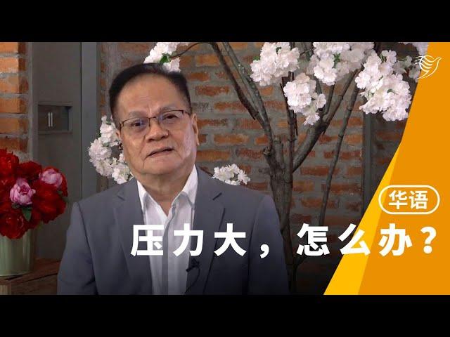 压力大，怎么办？（华语）31/01/2021