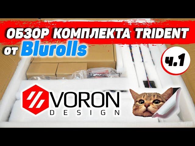 Voron Trident - обзор комплекта от Blurolls