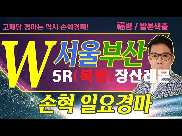 고배당 경마는 역시 손혁 경마 6/22(일)서울/부산 복병마 내용을 확인해 보세요!!