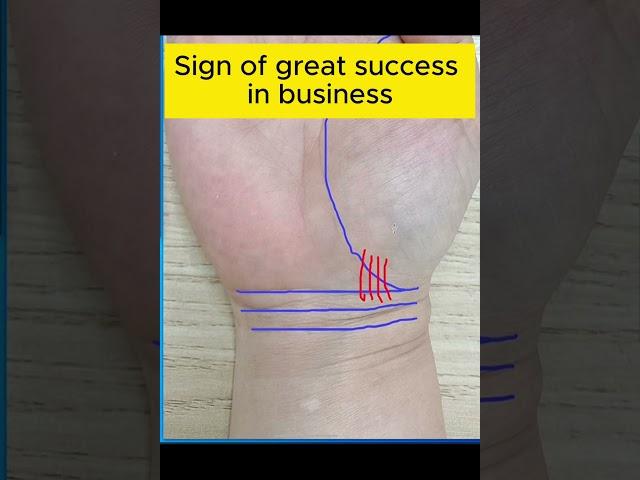 Sign of great success in business  #astrology #palmistry