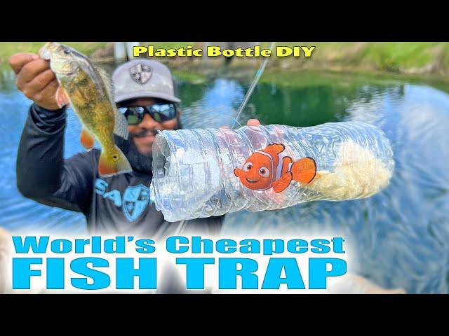 World's CHEAPEST Fish Trap DIY Plastic Bottle