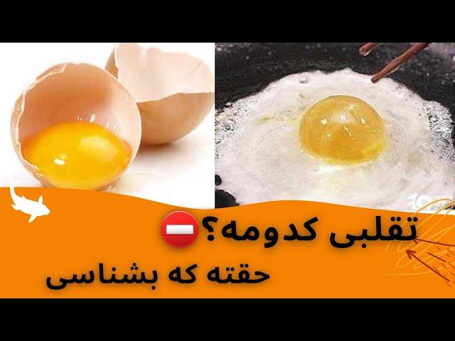 تفاوتِ تخم مرغ تقلبی واصل .دیدن این کلیپ برای همه واجبه