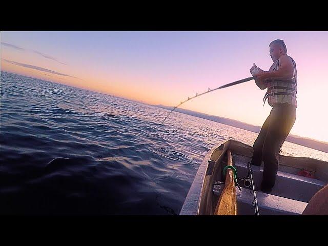 Jigging For Kingfish Off Kapiti Island