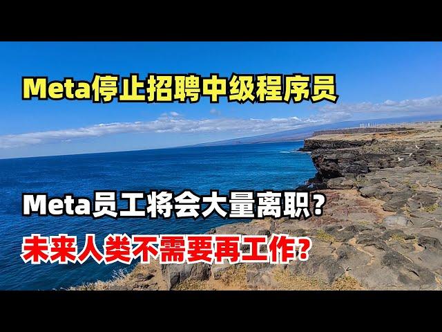 Meta停止招聘中级程序员，Meta员工将会大量离职？未来人类不需要再工作？
