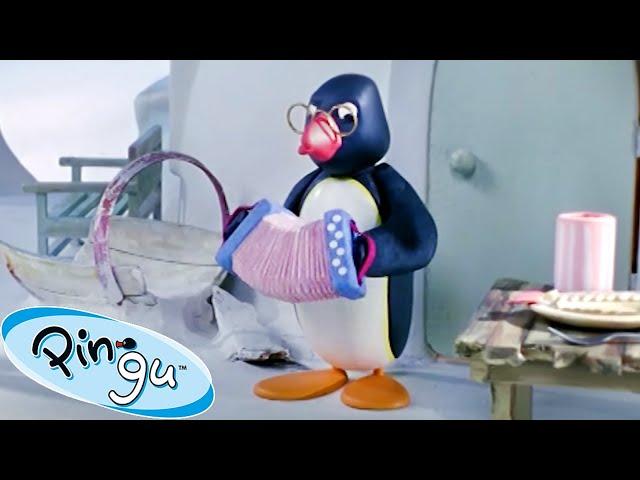 Pingu and the Band!   | Pingu - Official Channel | Cartoons For Kids