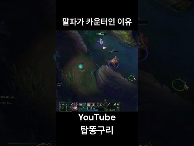 피오라 카운터가 말파인 이유