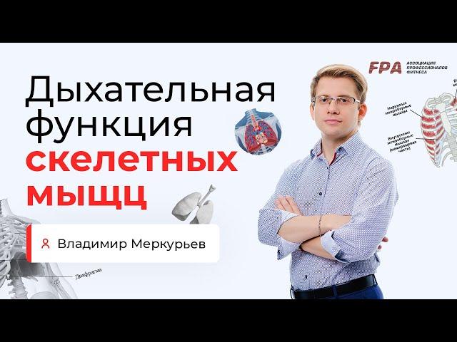 Дыхательная функция скелетных мышц | Владимир Меркурьев (FPA)